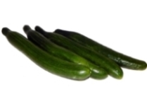 Cucumber