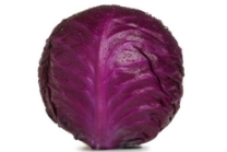 Red Cabbage