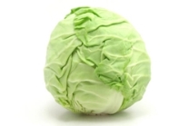 Cabbage