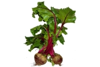 Beetroot
