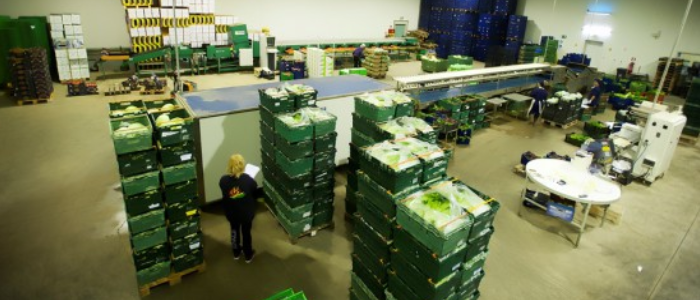 Packaging – Standardization
