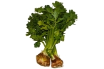 Celery